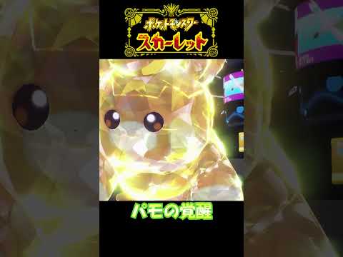 【ポケモンスカーレット】パモの覚醒