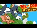 Tom and Jerry cartoon game Tom and Jerry Mouse Maze 