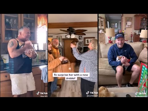 Surprising parents with their dream dog | TikTok