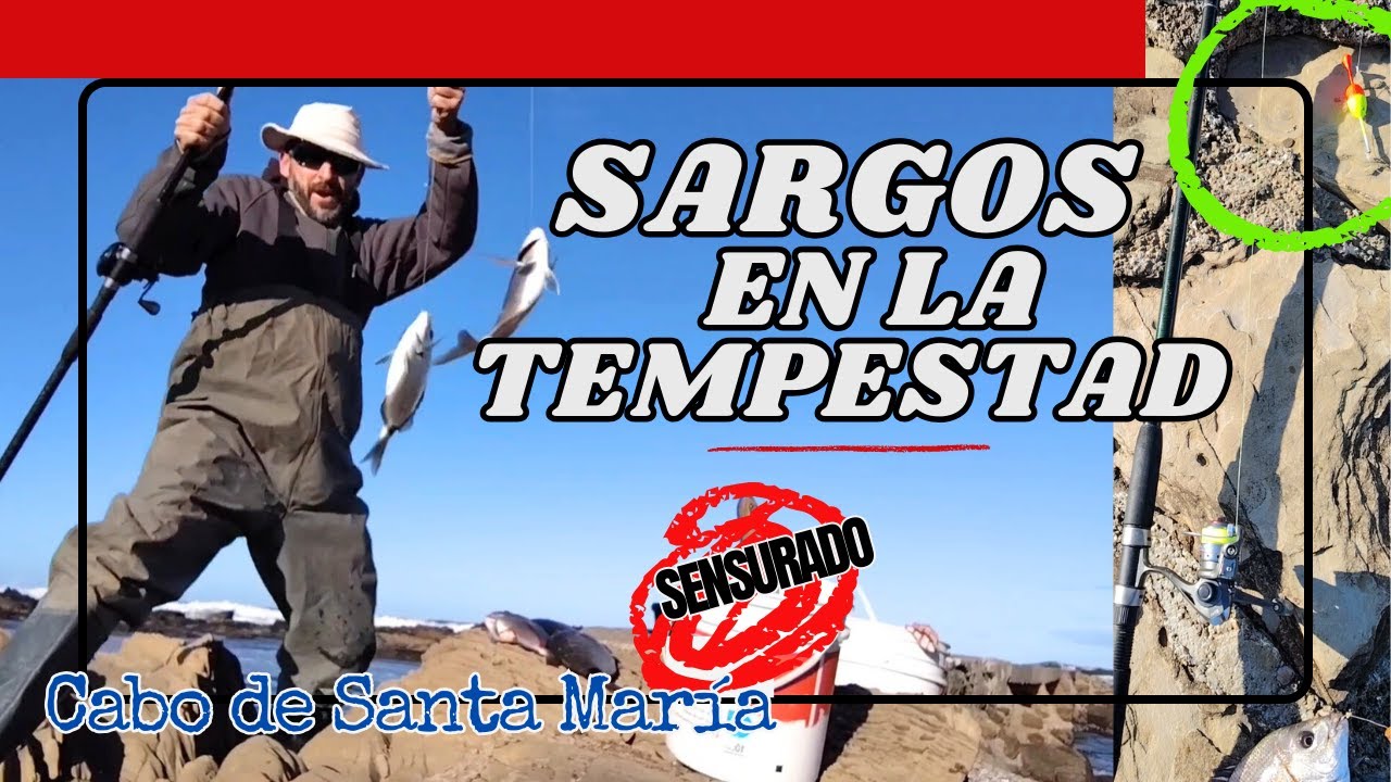 Sargos en la Tempestad
