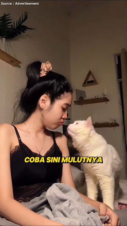 KUCING PUTIH TUKANG NGOMEL