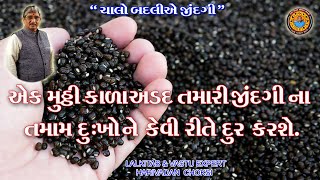 એક મુઠ્ઠી કાળા અડદ તમારી જીંદગીના તમામ દુઃખો ને કેવી રીતે દુર કરશે.