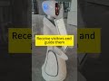 Amy Reception Robot in Company