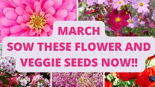 March: Sow These Flower and Veggie Seeds Now! by Up to Something 2,826 views 2 months ago 8 minutes, 3 seconds