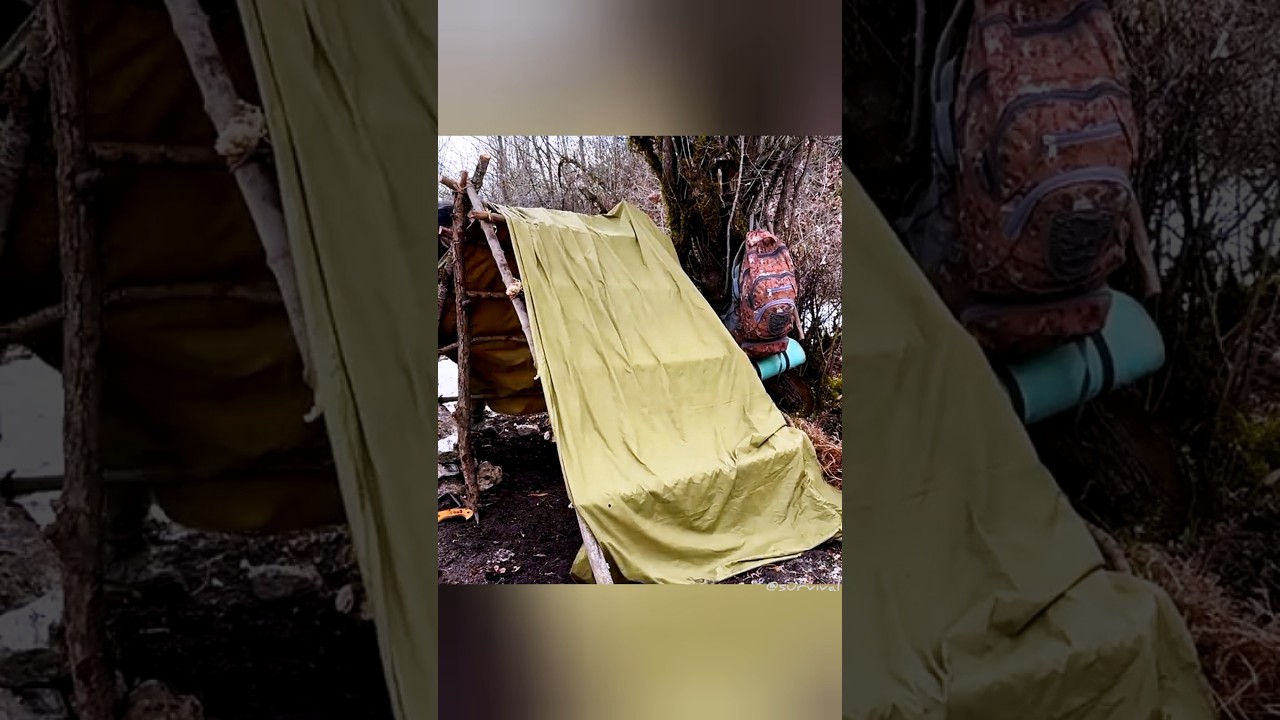 Winter Survival GuideTurning Trees into a Warm Home in the Snow