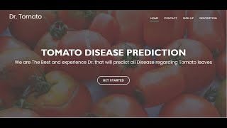 Tomato Leaf Disease Detection | Binary & Multi-Class | Final Year Project |ML project | AI