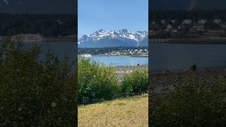 Spectacular Beauty of Haines, Alaska: Salmon Run, Bald Eagles &amp; More!