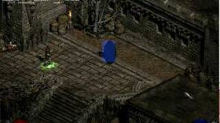 Diablo II EXP Leech Bot v1.0 (Diablo II window view)