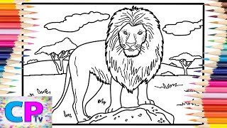 Lion Coloring Pages/Wild Lion/Elektronomia - Sky High/Diviners - Savannah/feat. Philly K/NCS Release