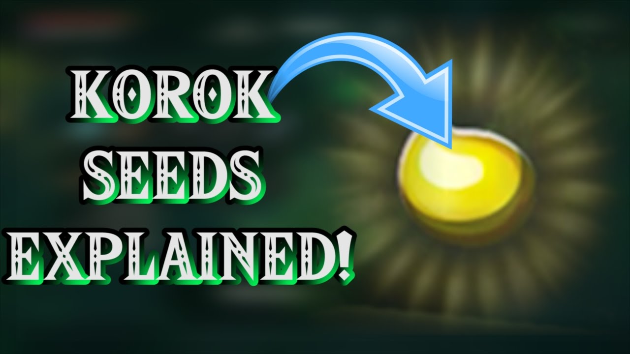 Breath of the Wild - WHAT KOROK SEEDS DO!