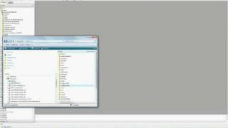 Bravissimo Wordpress Theme mySql dump installation