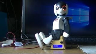 プラロボホンの改造その８