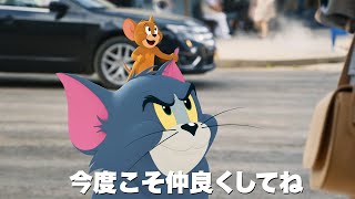 “トムジェリ”がついに実写の世界へ！　映画「トムとジェリー」日本オリジナル予告編解禁