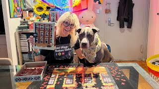 NYC LIVE New Yorker Dog Puzzle Build Part 3 & Trivia Chat Contest