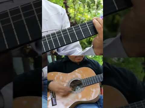 Cover Mateo 16, 18 - Canto Católico de Apologética - Una sola Iglesia que Cristo Fundó