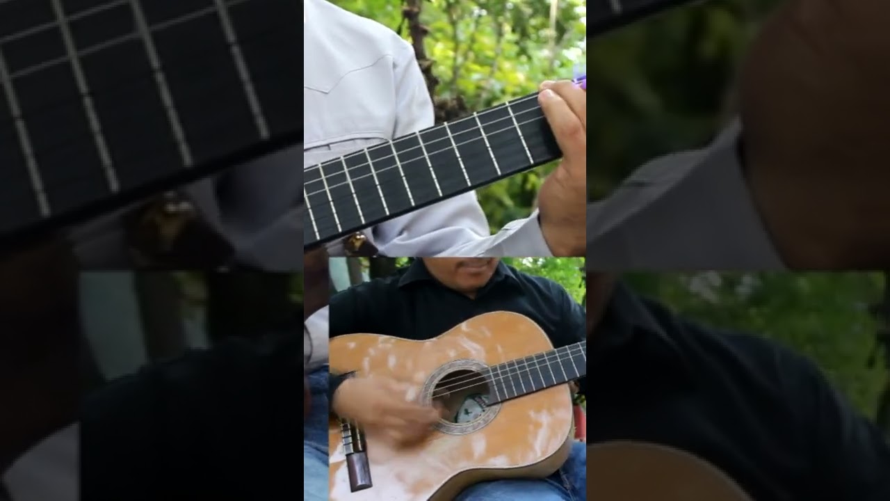 Cover Mateo 16, 18 - Canto Católico de Apologética - Una sola Iglesia que Cristo Fundó