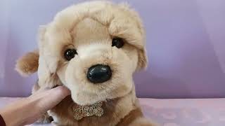 Review of Honey the Golden Retriever Plush by Douglas Cuddle Toys 🐶💛🍯