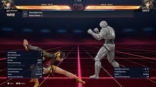 111. Piercing Spear Kick