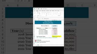 Celebrity How to Calculate NPV in Excel (Net Present Value Formula) Net Worth