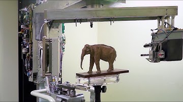 (Thai language) Elephant Sculpture 3D Scan and Print