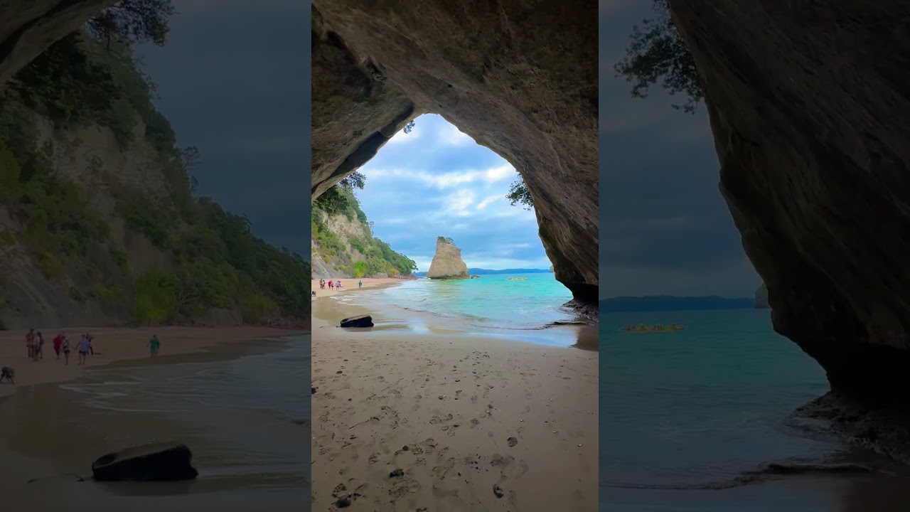 New Zealand Summer 🏝️ 