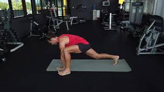 Alternating Spiderman Stretch | Mobility exercises | Hip Opener