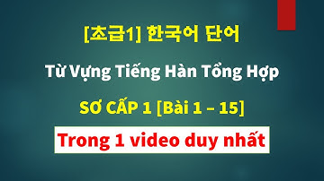 Học Hết Toàn Bộ Từ Vựng Tiếng Hàn Sơ Cấp 1 Trong 1 Video | [초급1] 한국어 단어