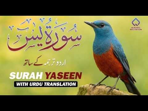 Surah Yasin ( Yaseen ) with Urdu Tarjuma | Quran tilawat | Quran with Urdu Hindi Translation