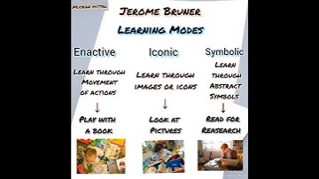 Bruner theory of cognitive development | For Ctet,Htet Prepration|