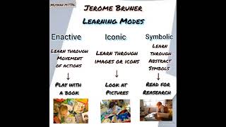 Bruner Theory Of Cognitive Development For Ctet,Htet Prepration