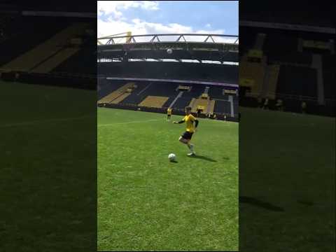 POV: You are a Pro Dortmund Player