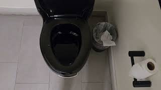 Black Colored 2023 Kohler Santa Rosa Toilet