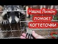 VLOG У меня самый лучший муж. Катя заболела