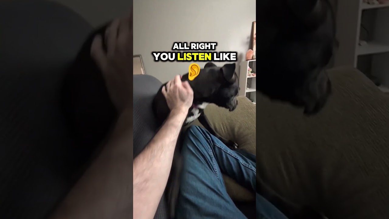 Cute Funniest Puppy Luna Finds Out Mommy is Pregnant Part 1| 