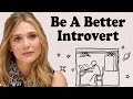 Understanding Introversion