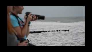 Hurricane Sandy Surfing - The Washout - Folly Beach, South Carolina