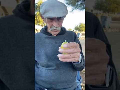 Grandpa’s Last Jelly Fruit 🍍🥺 Subscribe