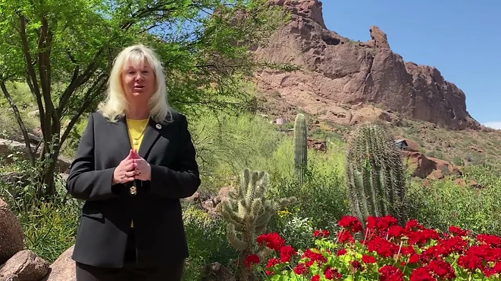 Vote Julie Pace for Paradise Valley Town Mayor!
