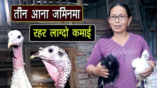 तीन आना जमिनमा रहर लाग्दो व्यवसाय, लोभलाग्दो कमाई | Hiramaya Tamang | Turkey Farming | Quail Farming