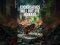 Why Cockroaches Are Almost Impossible To Kill #firojbpositive #documentary #science #facts
