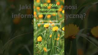 Jaki Kwas Przenosi Informację Genetyczną