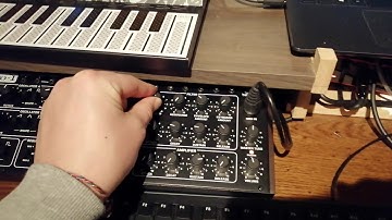 Behringer Pro-1 + Korg Minilogue and Ableton Live