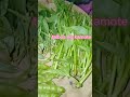 Vegetables assorted/Yummy vegetables😋 #yummy #shorts