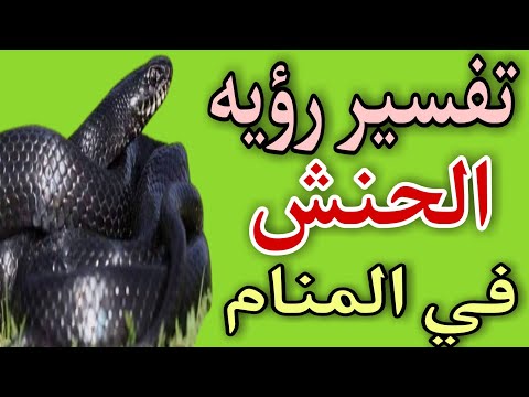 تفسير رؤيه الحنش في المنام ..ما معني رؤيه حنش في الحلم