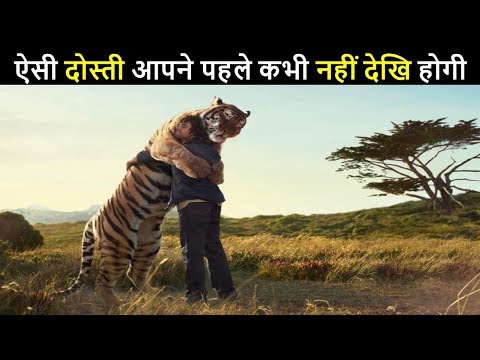 वीडियो: शेर आदमी को कैसे वश में करें