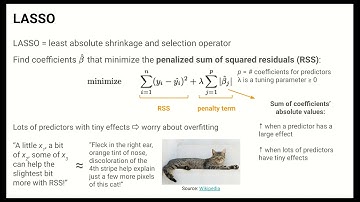 LASSO (Shrinkage/Regularization)