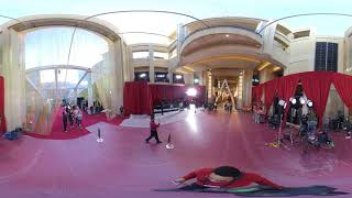 Oscars 2020: Oscars red carpet behind the scenes (360 VIDEO)