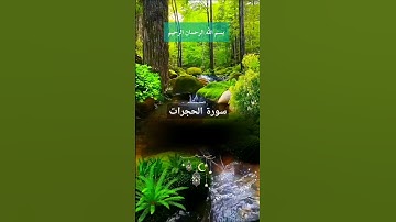 #المصحف ما تيسر من سورة الحجرات #اكسبلور