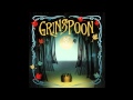 Grinspoon  more than you are hq