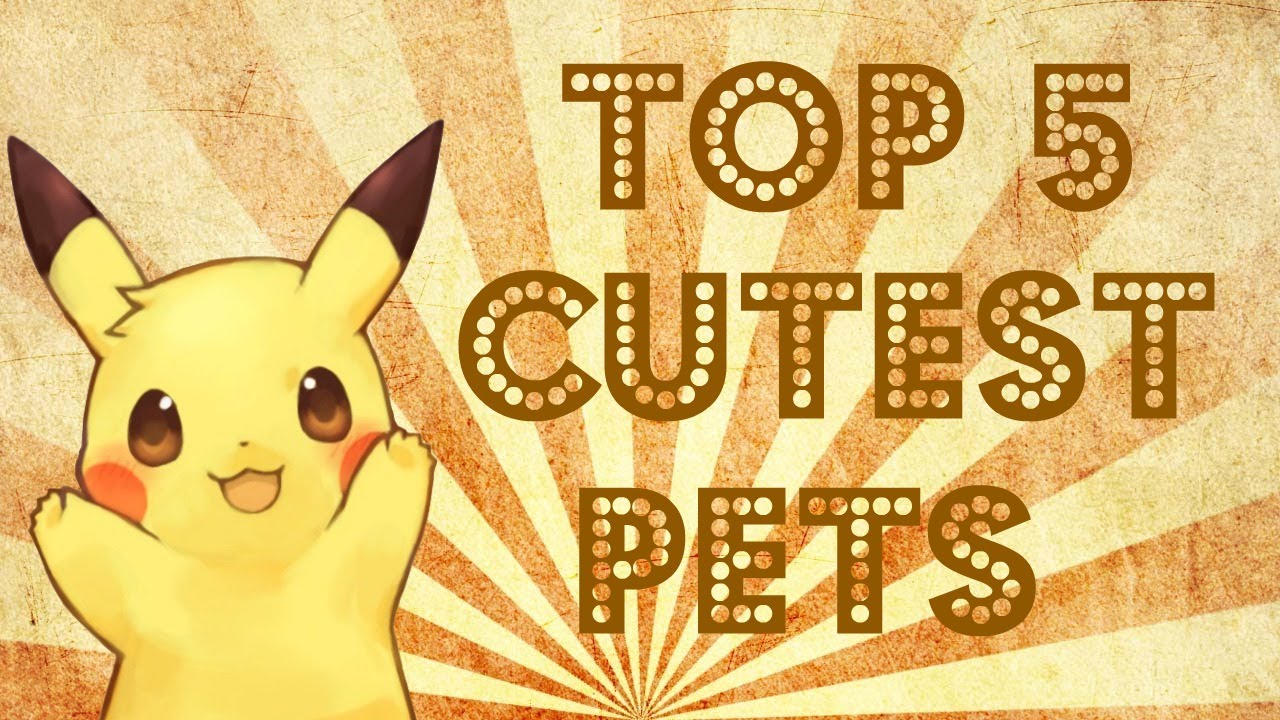 Top 5 cutest anime pets - YouTube